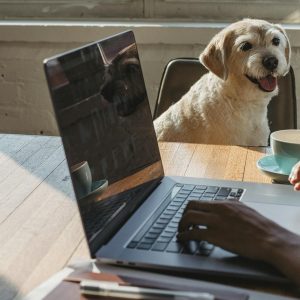 Crop anonymous young African American female freelancer using netbook and drinking coffee while sitting at table near dog