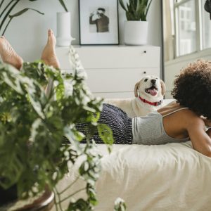 Unrecognizable black woman with dog and laptop on bed