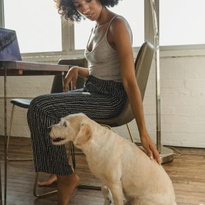 Young African American lady petting dog while sitting at table with netbook at home in daylight